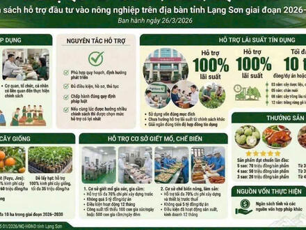 Kinh tế - Chính trị