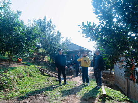 Kinh tế - Chính trị